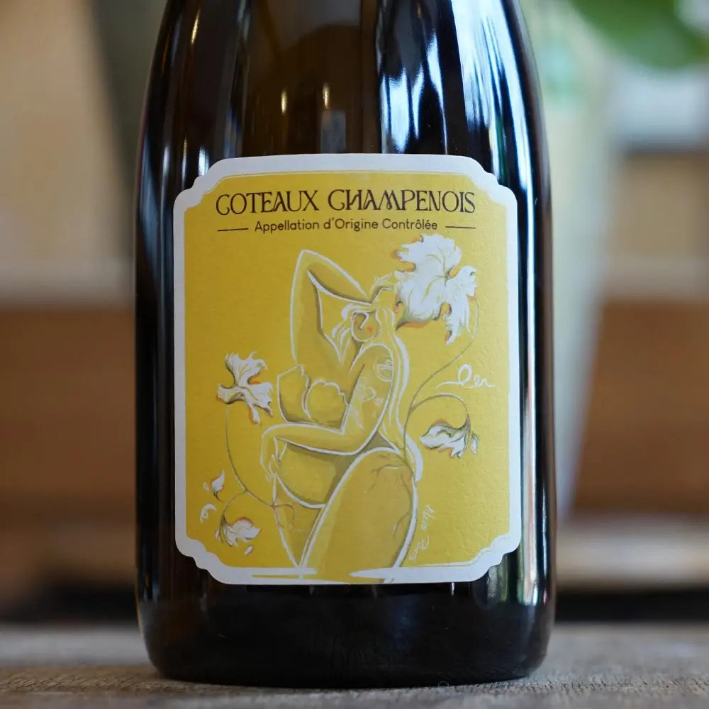 Coteaux Champenois Blanc 2022- Champagne Thomas de Marne