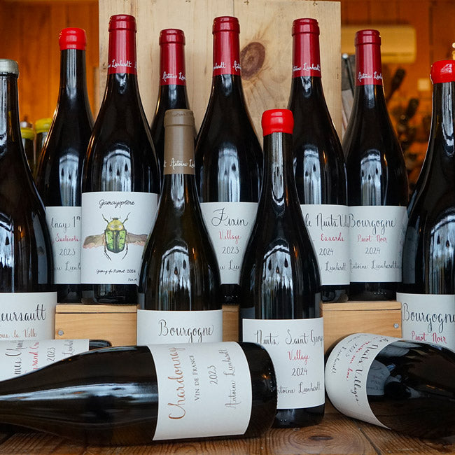 Nuits Saint-Georges 2024 - Antoine Lienhardt