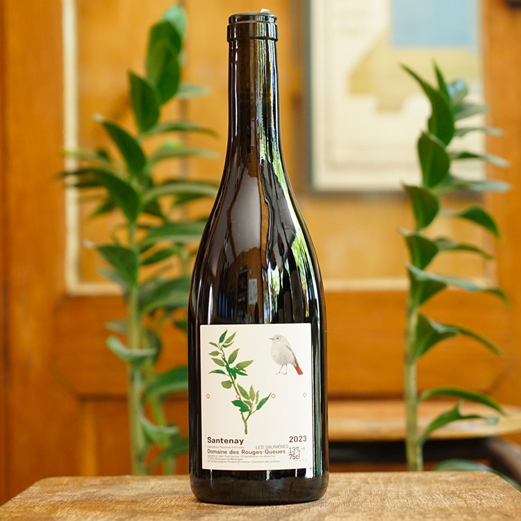 Santenay Rouge 2023 - Domaine des Rouges Queues