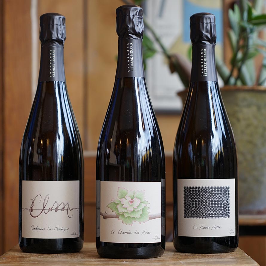 Côteaux Champenois Blanc "Chemins des Roses" 2021 - Champagne Leclere-Minard