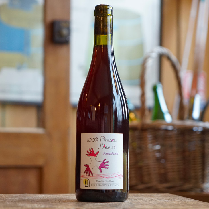 Pineau d'Aunis Amphora 2024 - Les Grandes Vignes