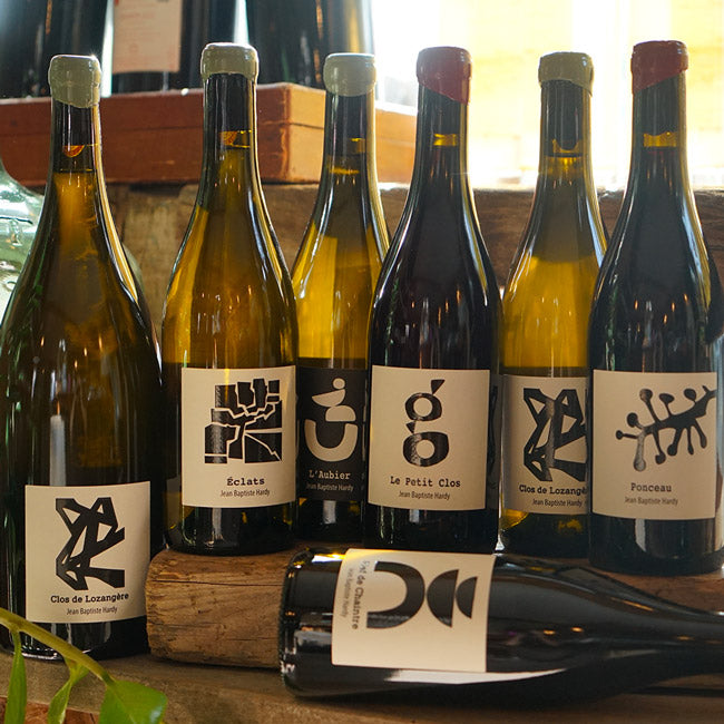 Clos de Lozangère 2024 - Jean-Baptiste Hardy