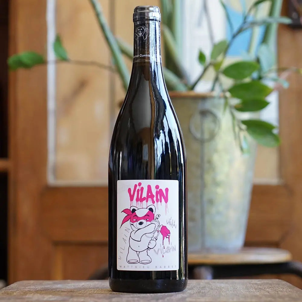 Vilain 2022 - Matthieu Barret