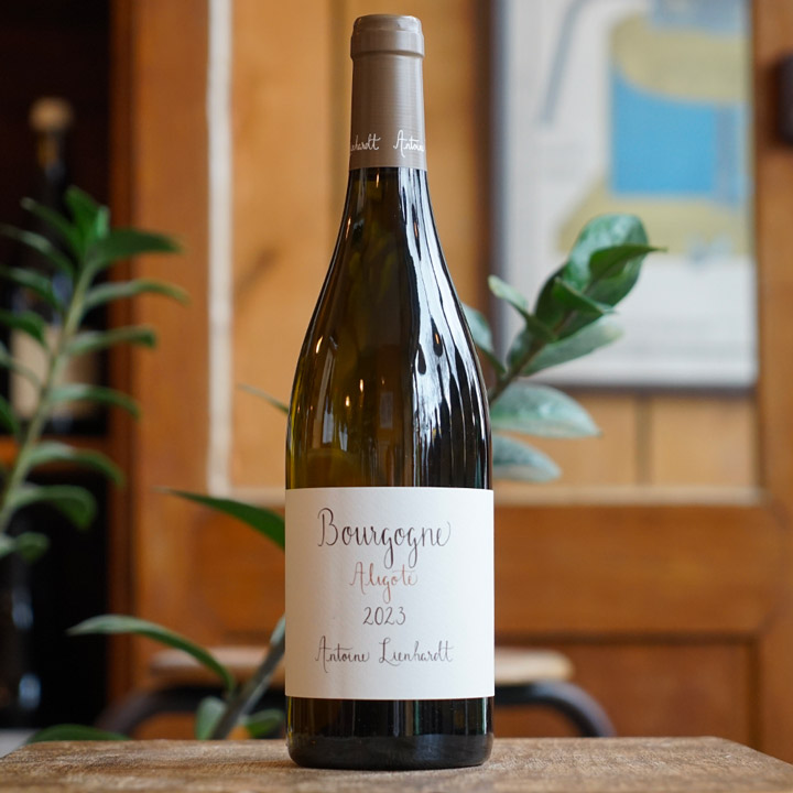 Bourgogne Aligoté 2023 - Antoine Lienhardt