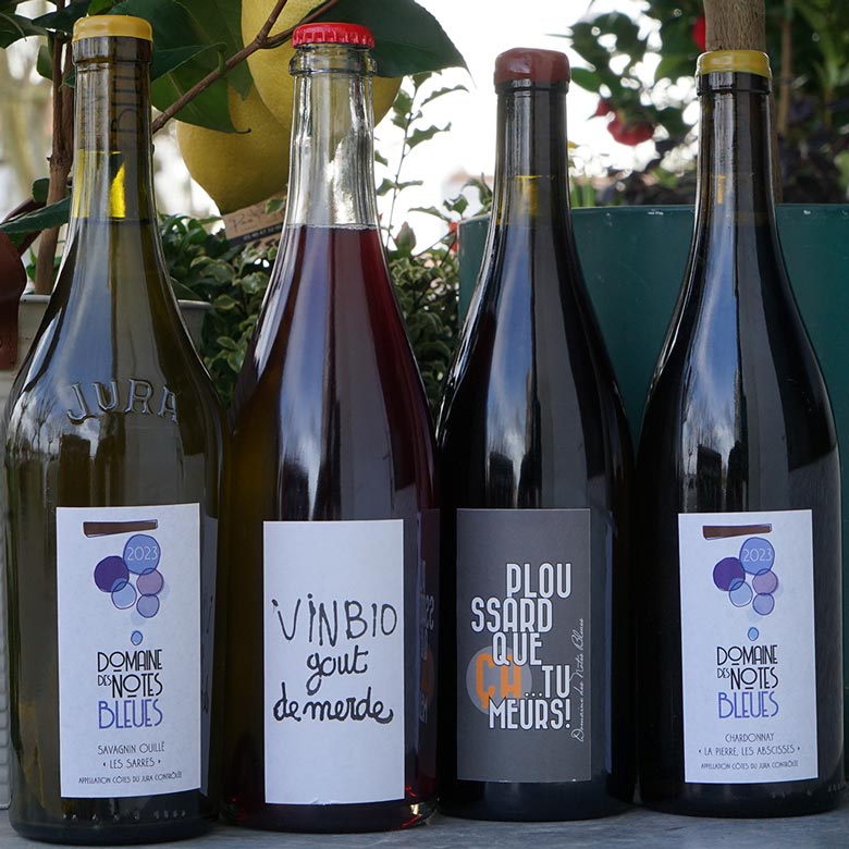 Chardonnay « La Pierre, Les Abscisses » 2023 - Domaine des Notes Bleues