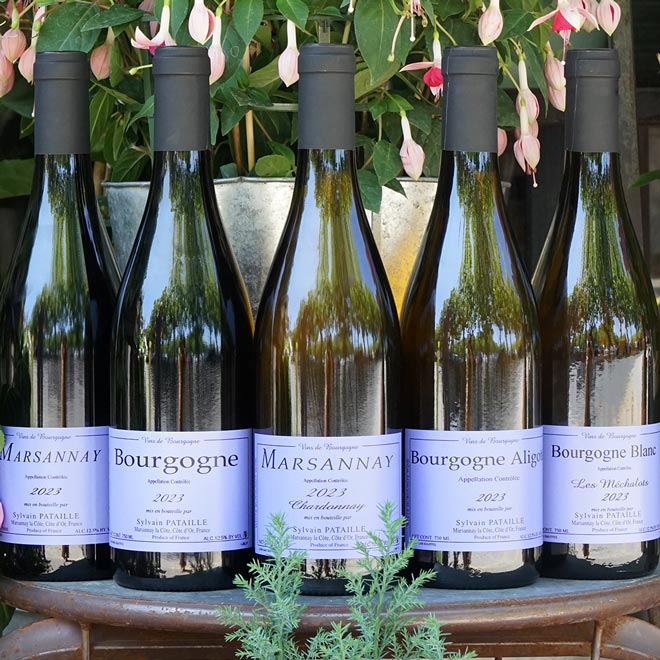 Bourgogne Aligoté 2023 - Sylvain Pataille