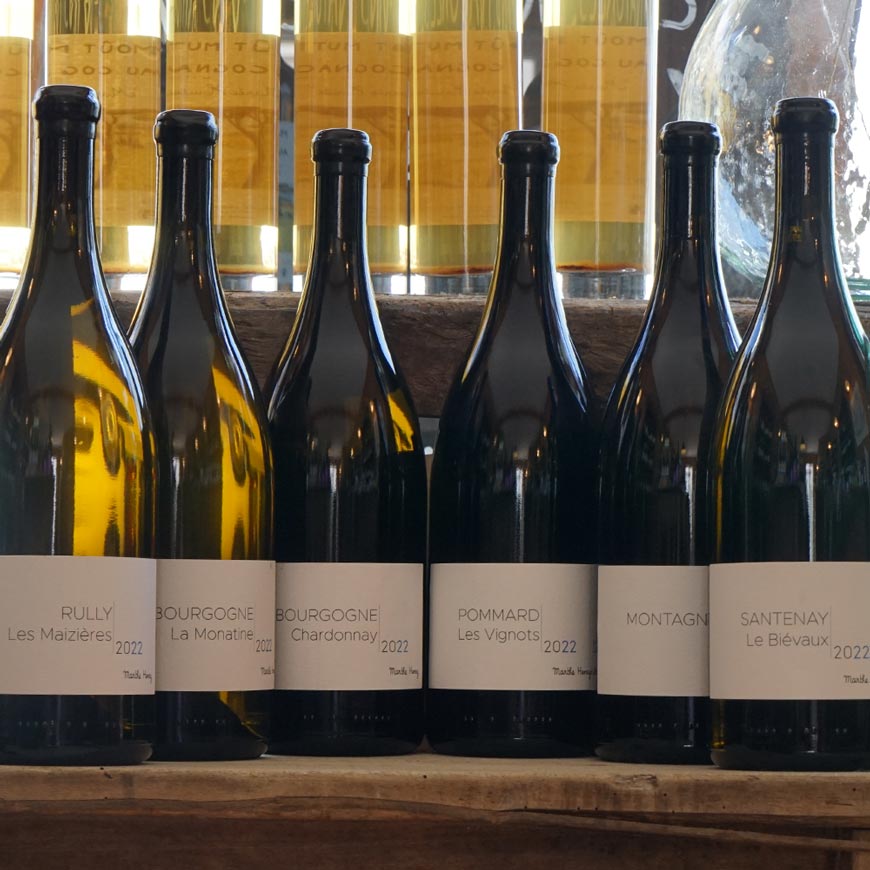 Pommard Les Vignots 2022 Magnum - Marthe Henry