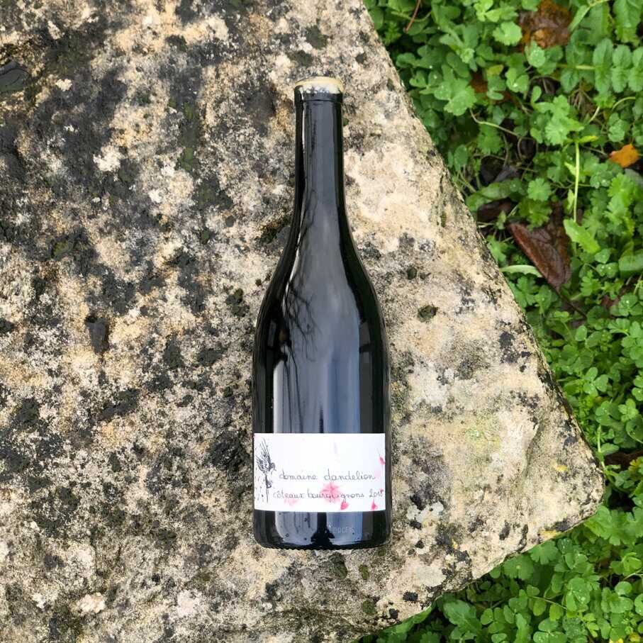 CĂŽteaux Bourguignons 2018 - Domaine Dandelion