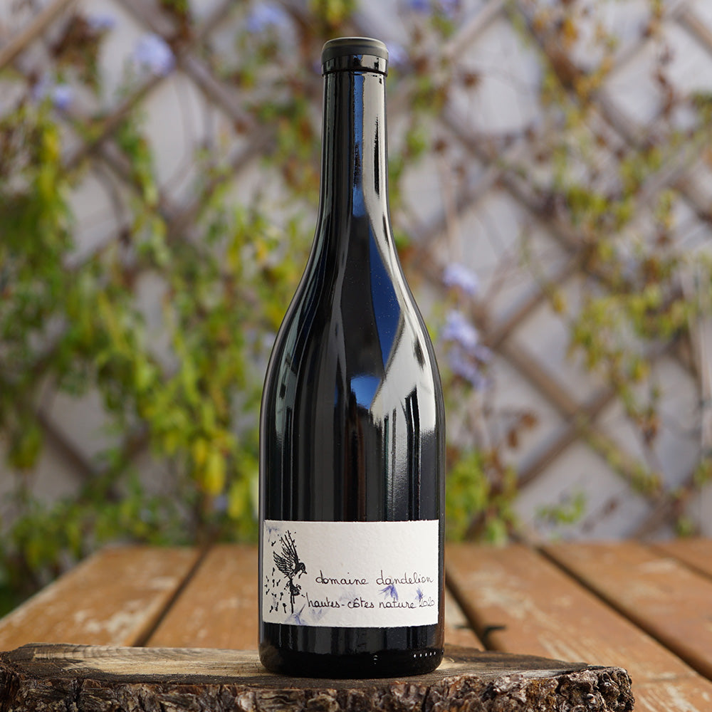 Pinot Noir 2020 - Domaine Dandelion