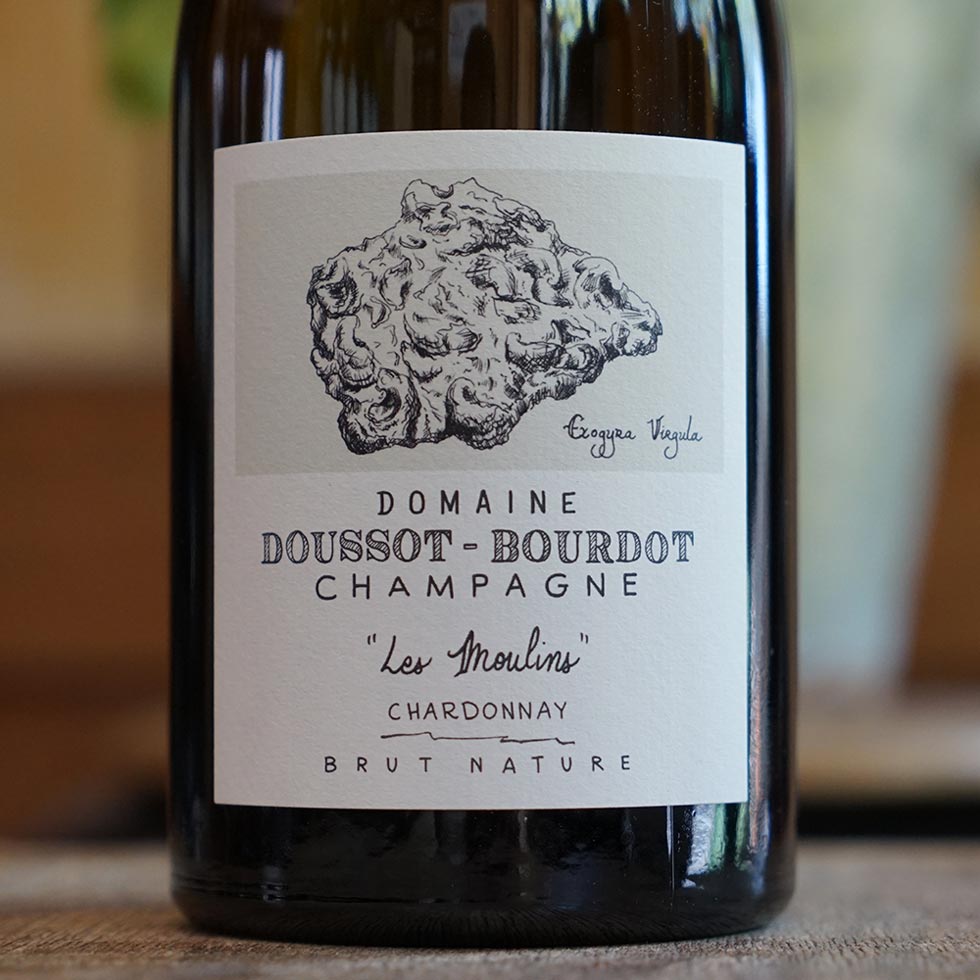 Les Moulins 2022 - Domaine Doussot Bourdot