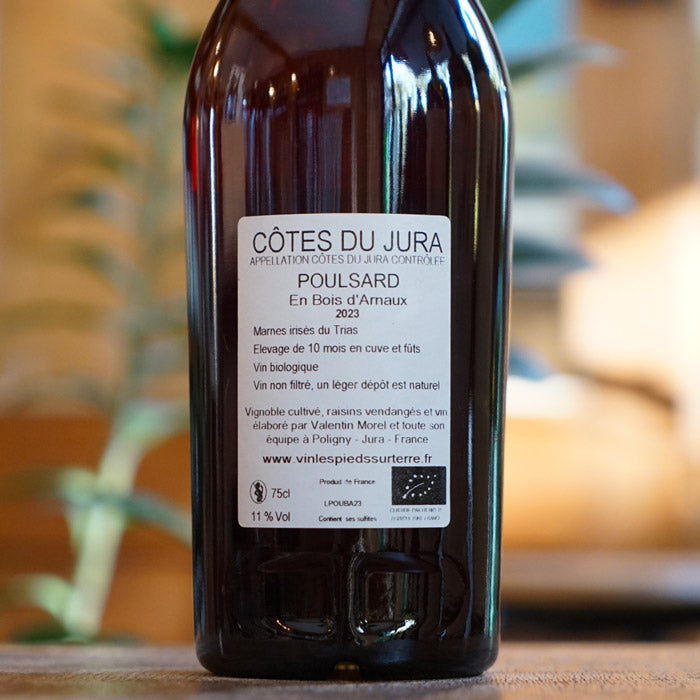 Poulsard Bois d'Arnaux  2023 - Valentin Morel