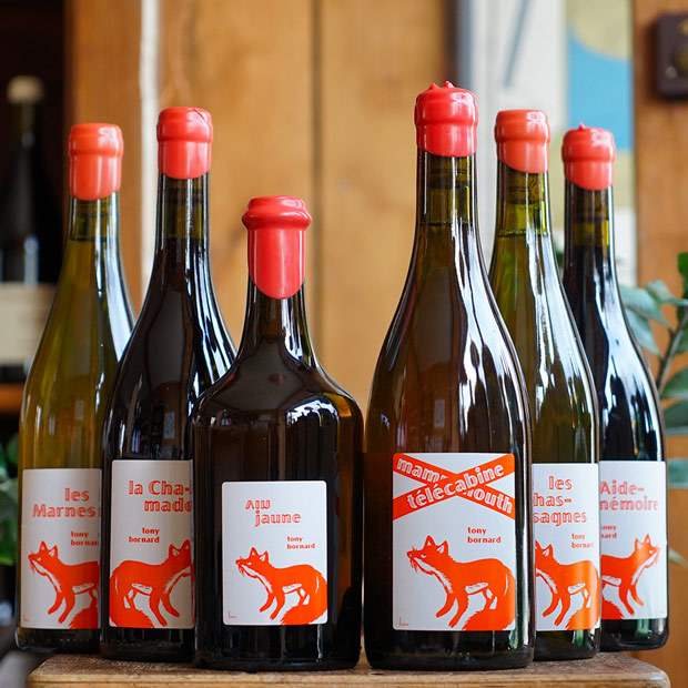 Savagnin "Amphore Mammouth Géorgien" 2017 - Domaine Bornard