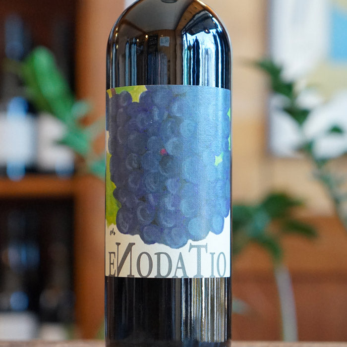 Langhe Merlot "Enodatio" 2019 - Elio Sandri