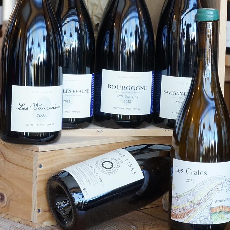 Côte de Nuits Village "Les Vaucrains" 2022 - Antoine Petitprez