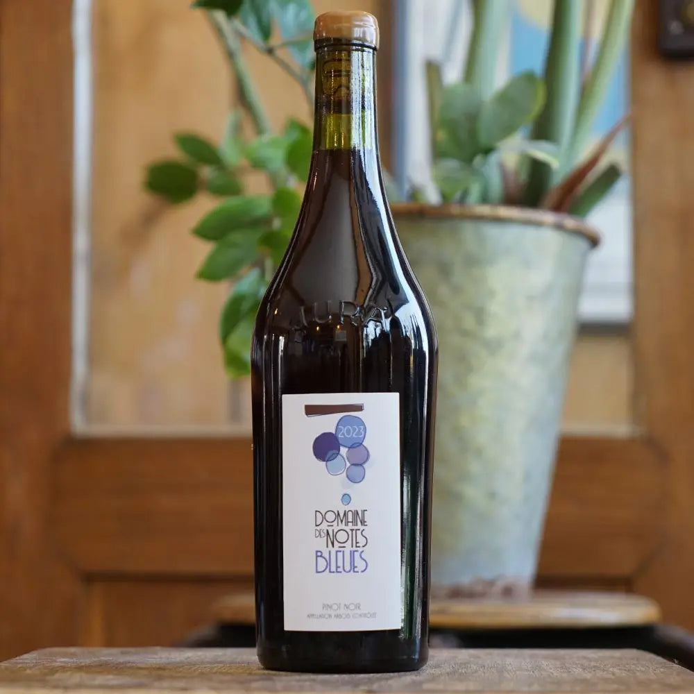 Pinot Noir 2023 - Domaine des Notes Bleues