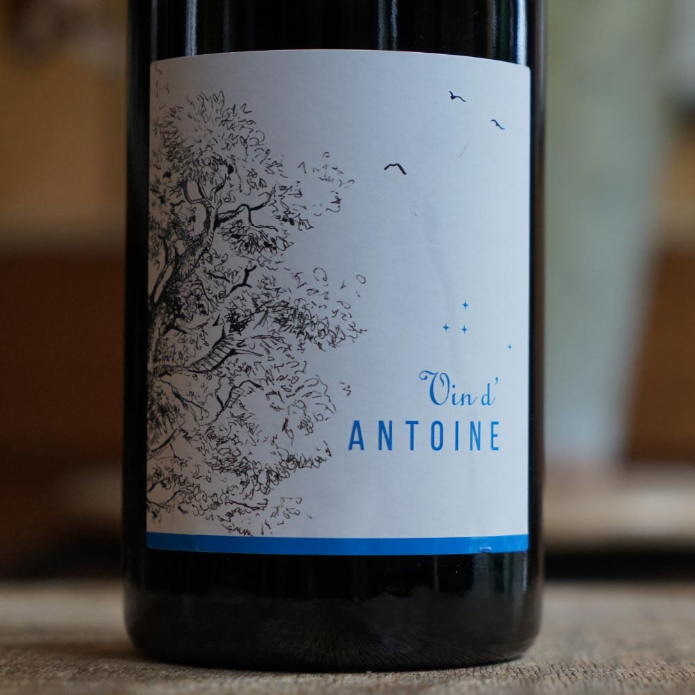 Vin d'Antoine 2023 - Saint Nicolas