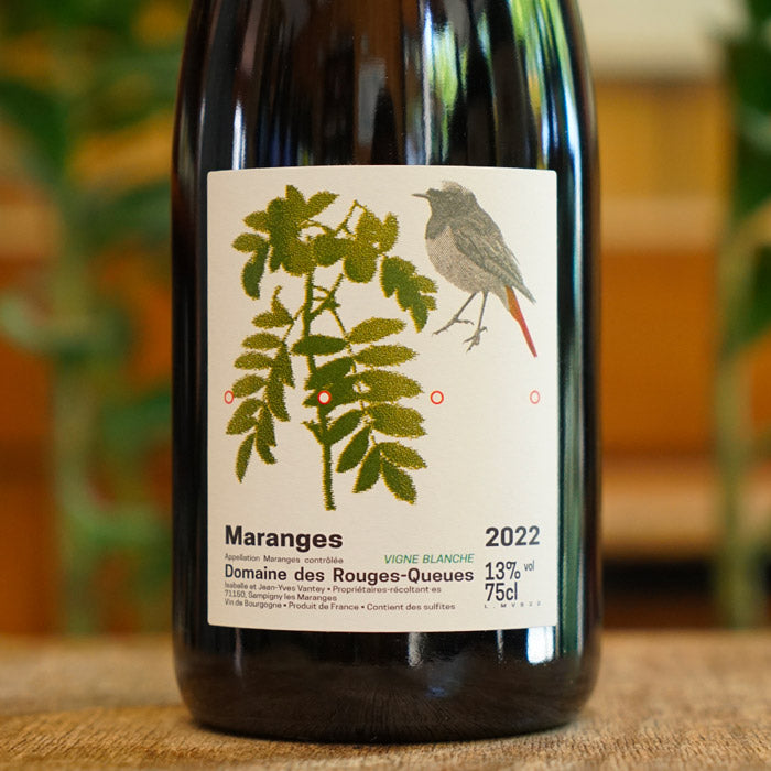 Maranges Rouge Vigne Blanche 2022 - Domaine des Rouges Queues