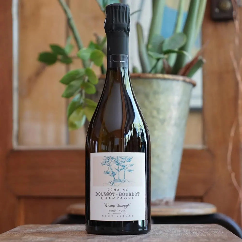 Champ Fremyot 2022 - Domaine Doussot Bourdot