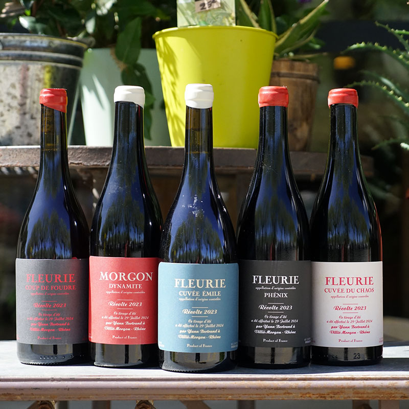Fleurie Coup d'Foudre 2023 - Yann Bertrand
