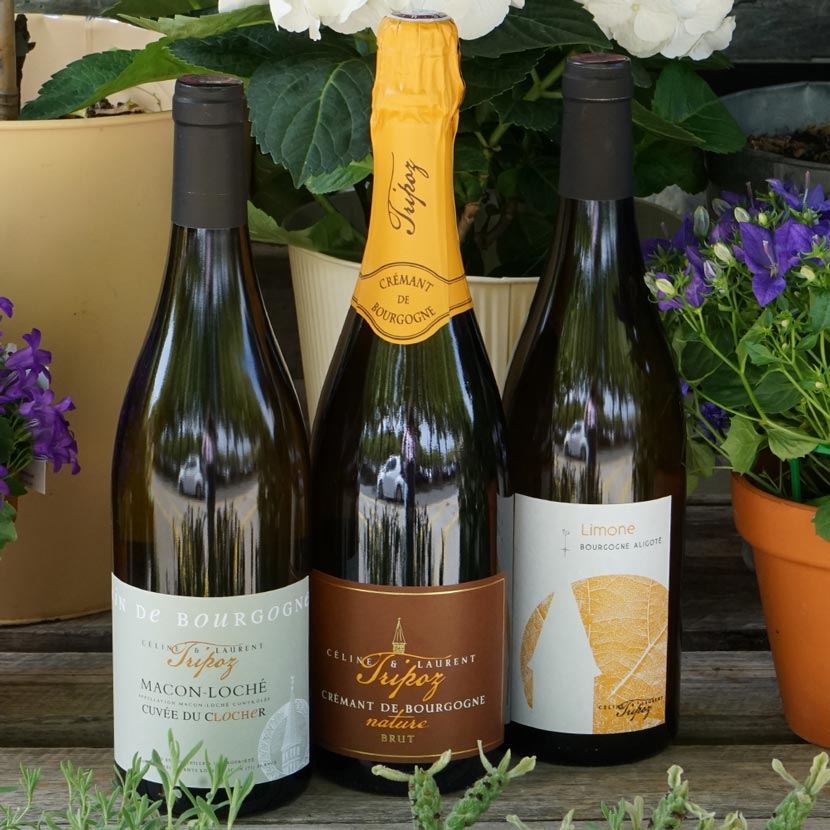 Mâcon Loché "Le Clôcher" 2022 - Domaine Tripoz