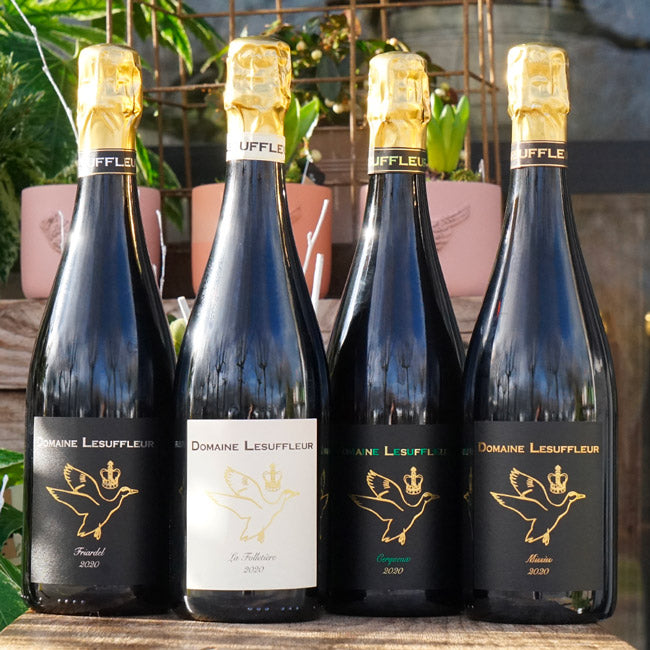 Cidre "Friardel" 2020 - Benoît Lesuffleur