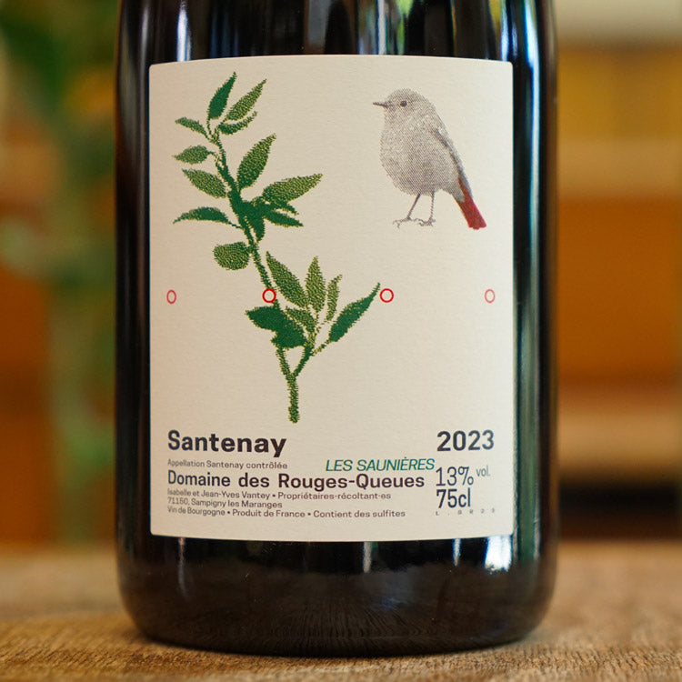 Santenay Rouge 2023 - Domaine des Rouges Queues