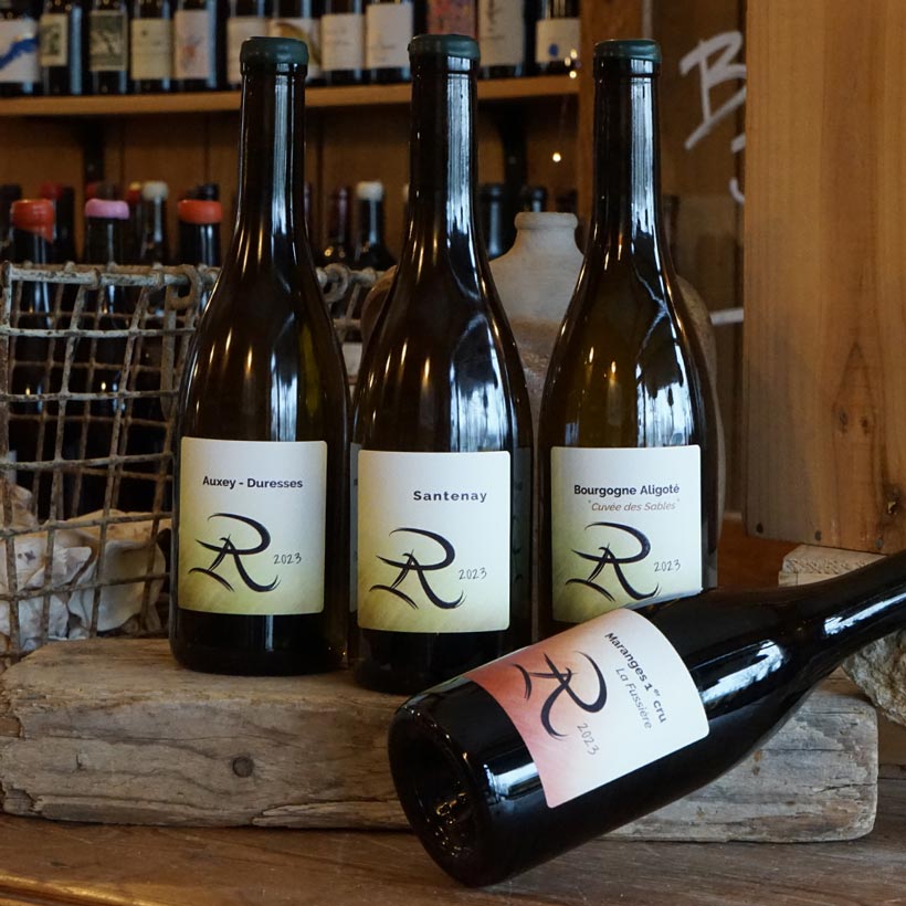 Bourgogne Aligoté "Cuvée des Sables" 2023 - Maison Réno