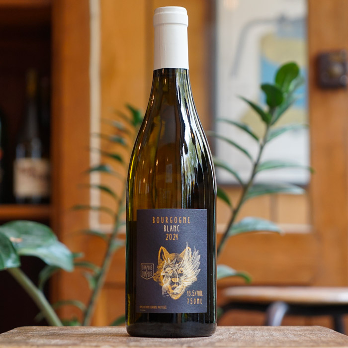 Bourgogne Blanc 2024 - Chapuis & Chapuis