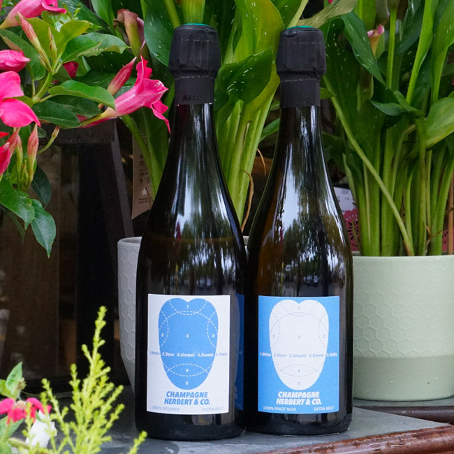 1000% Pinot Noir 2021 - Herbert & Co