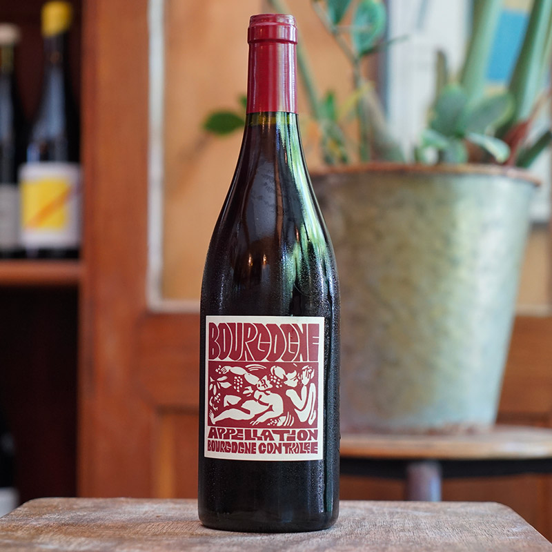 Bourgogne Rouge 2023 - La Soeur Cadette