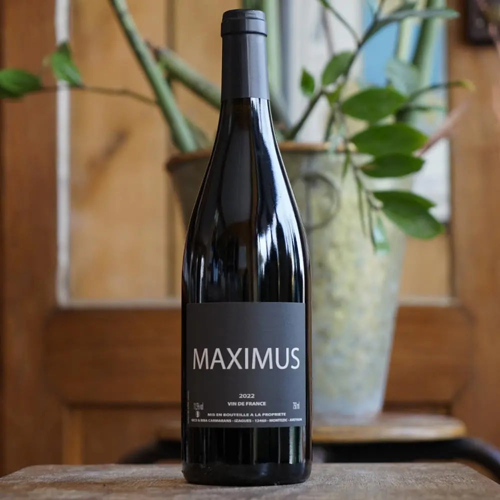 Maximus - Nicolas & Biba Carmarans