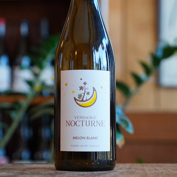 Vendange Nocturne 2023 - Domaine Gadais