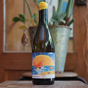 Bain De Soleil 2024 - Les Chais Du Port de La Lune