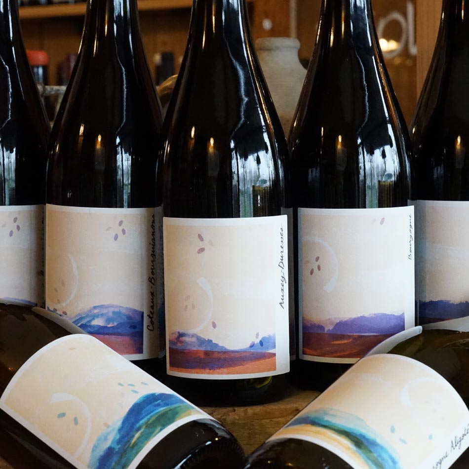 Hautes Côtes de Beaune Blanc 2023 - La Chaume des Lies