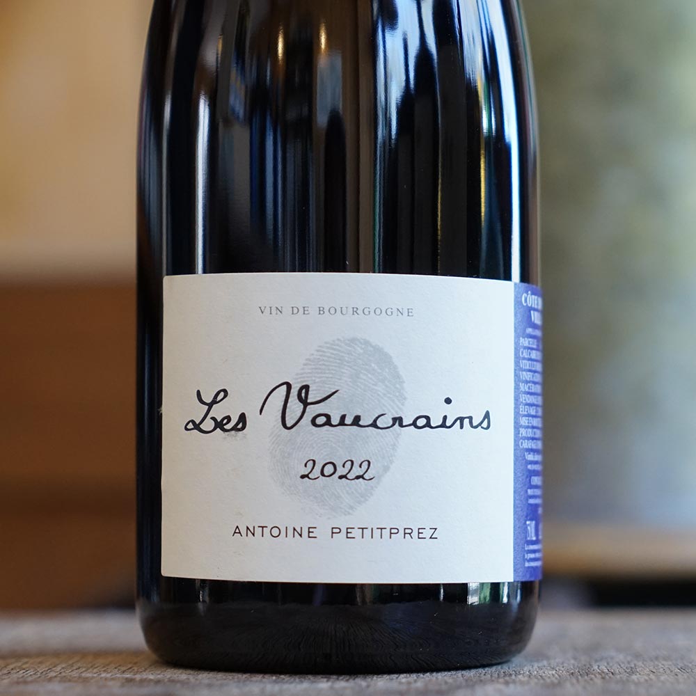 Côte de Nuits Village "Les Vaucrains" 2022 - Antoine Petitprez