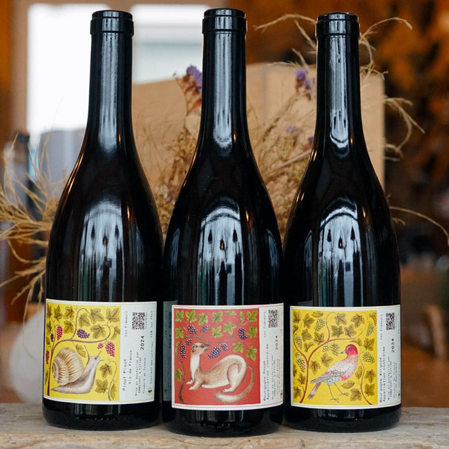 Bourgogne Aligoté 2024 - Les Flâneurs de Vin