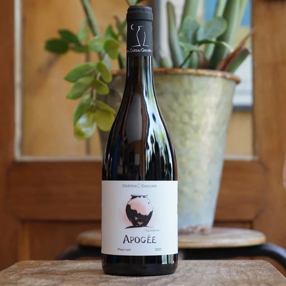 Apogée 2023 - Château Gaillard