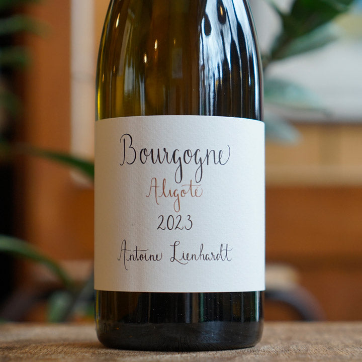 Bourgogne Aligoté 2023 - Antoine Lienhardt