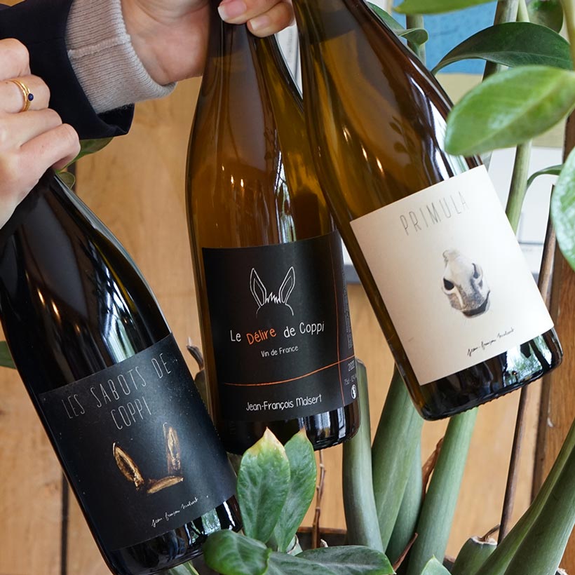 Saint Joseph Rouge "Les Sabots de Coppi" 2022 - Domaine de l'Iserand