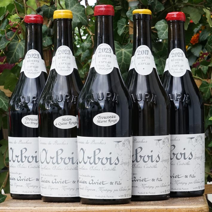 Ploussard "Cuvée des Docteurs" 2023 - Lucien Aviet