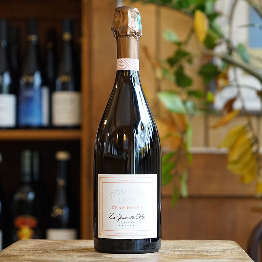 La Grande Côte R21 Magnum - Domaine Léon