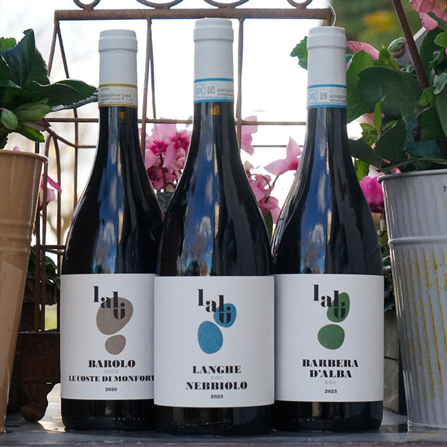 Barbera d'Alba 2023 - Lalu