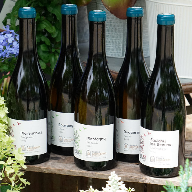 Savigny Les Beaune "Les Goudelettes" 2024 - Maison Gautheron d'Anost