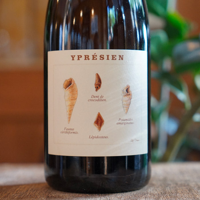 Yprésien R21 - Champagne Legrand-Latour