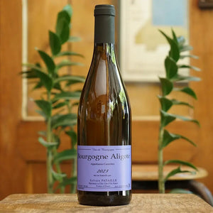 Bourgogne Aligoté 2023 - Sylvain Pataille