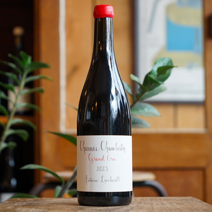 Charmes Chambertin Grand Cru 2023 - Antoine Lienhardt