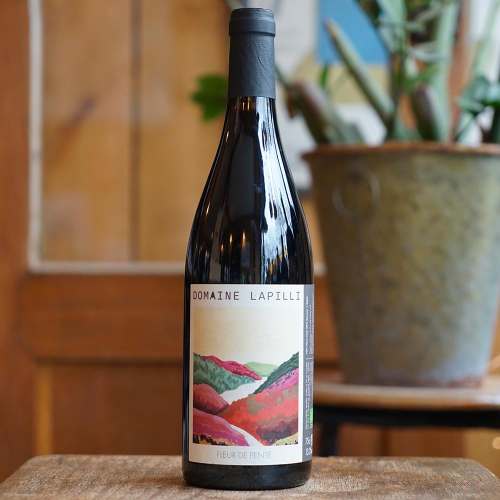 Fleur de Pente 2024 - Domaine Lapilli