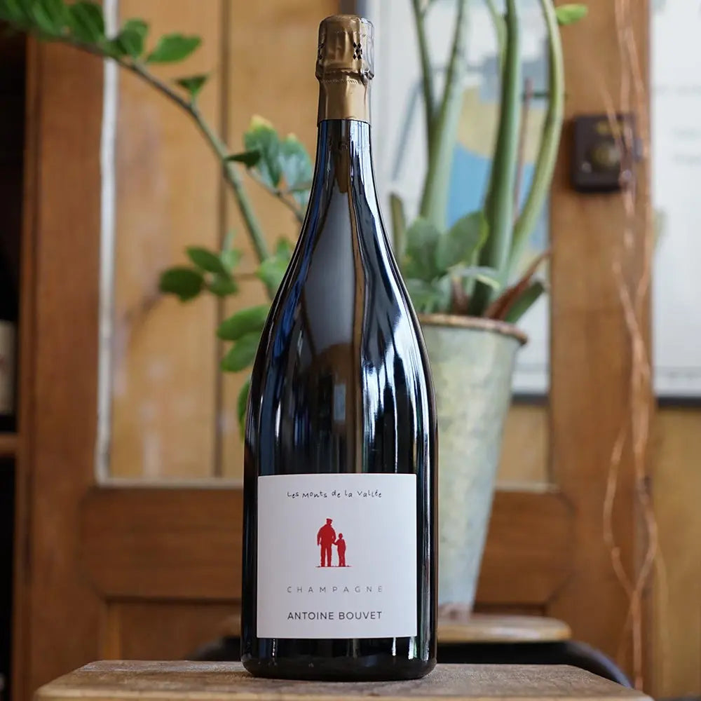 Les Monts de la Vallée Rosé Magnum - Antoine Bouvet