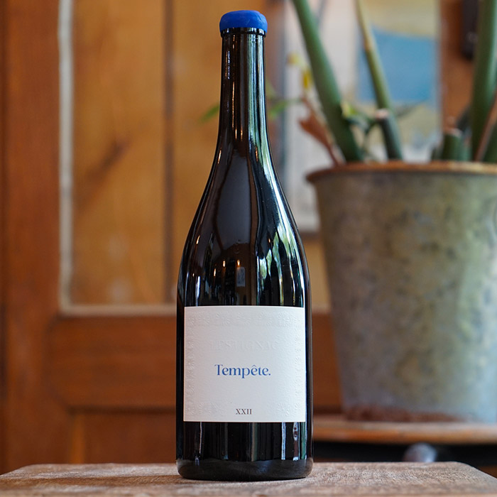Tempête 2022 - Château Lestignac