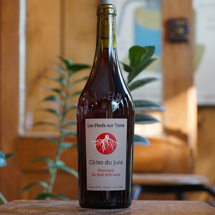 Poulsard Bois d'Arnaux  2023 - Valentin Morel